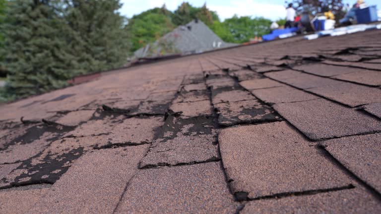 Best Storm Damage Roof Repair  in Marin City, CA